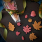 Festive Chocolate Shapes
